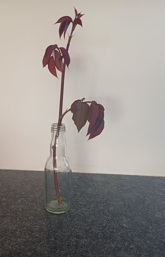 Lille vase